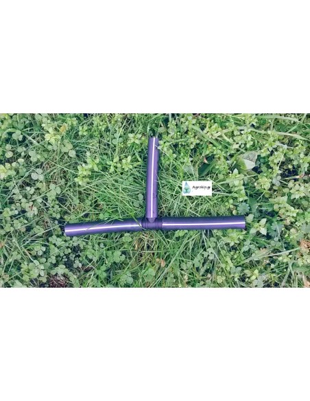 Ταφ Φις Ταφ Φις