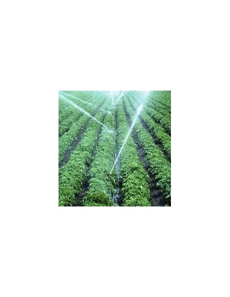 Εκτοξευτήρας 1" με δύο Ακροφύσια 'TITAN' (πλήρους κύκλου) Εκτοξευτήρας 1" με δύο Ακροφύσια 'TITAN' (πλήρους κύκλου)