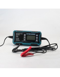 ΦΟΡΤΙΣΤΗΣ-ΣΥΝΤΗΡΗΤΗΣ 12/24V 2