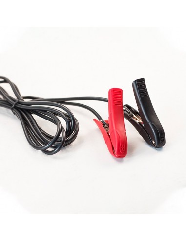 ΦΟΡΤΙΣΤΗΣ-ΣΥΝΤΗΡΗΤΗΣ 12/24V