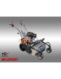 Βενζινοκίνητος καταστροφέας...