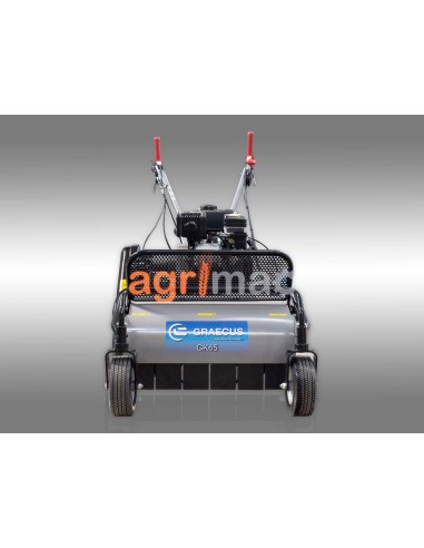 Βενζινοκίνητος καταστροφέας GK65