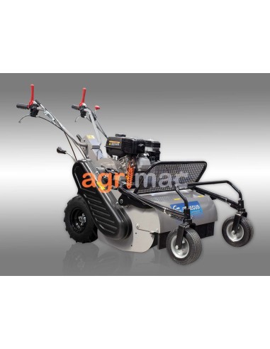 Βενζινοκίνητος καταστροφέας GK65