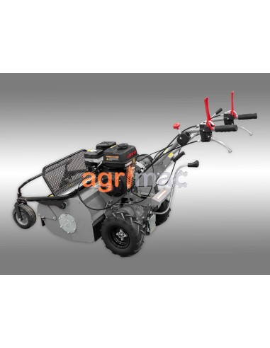 Βενζινοκίνητος καταστροφέας GK65