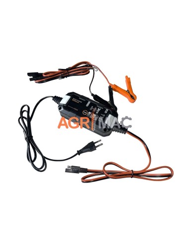 Έξυπνος φορτιστής και συντηρητής...