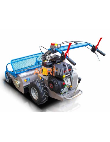 Βενζινοκίνητος καταστροφέας GK80pro