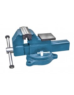 ΜΕΓΓΕΝΗ ΑΤΣΑΛΙΝΗ, ΜΕΓΙΣΤΟ...