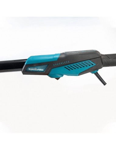 ΤΡΙΒΕΙΟ ΓΥΨΟΣΑΝΙΔΑΣ...