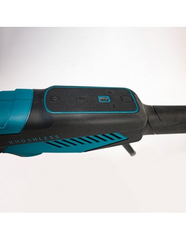 ΤΡΙΒΕΙΟ ΓΥΨΟΣΑΝΙΔΑΣ...