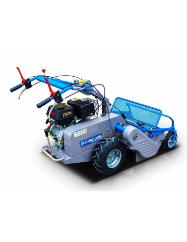 Βενζινοκίνητος καταστροφέας GK80pro