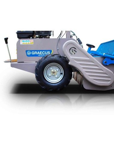 Βενζινοκίνητος καταστροφέας GK80pro