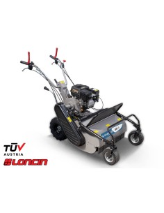 Βενζινοκίνητος καταστροφέας...