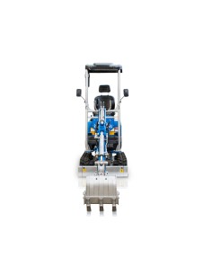 Μικρός ερπυστριοφόρος... 2