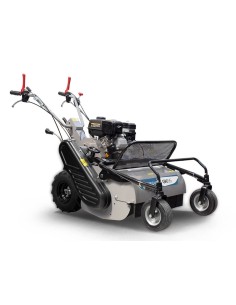 Βενζινοκίνητος καταστροφέας... 2