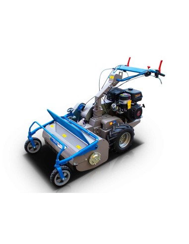 Βενζινοκίνητος καταστροφέας GK80pro