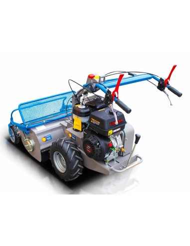 Βενζινοκίνητος καταστροφέας GK80pro