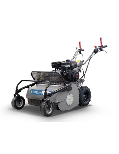 Βενζινοκίνητος καταστροφέας GK65