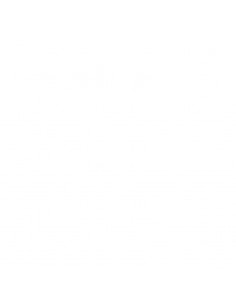 ΚΕΦΑΛΗ TURBO ΓΙΑ BPW5000 2