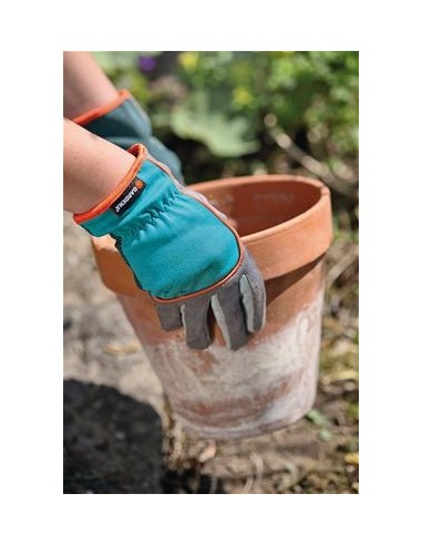 Glove No6 XS Glove No6 XS