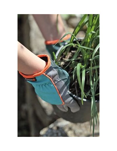 Glove No6 XS Glove No6 XS