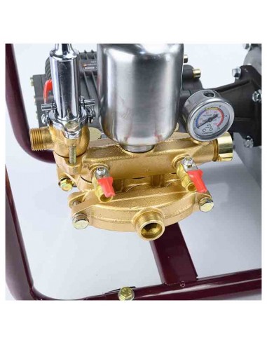 ΨΕΚΑΣΤΙΚΟ ΒΕΝΖΙΝΗΣ 6,5HP