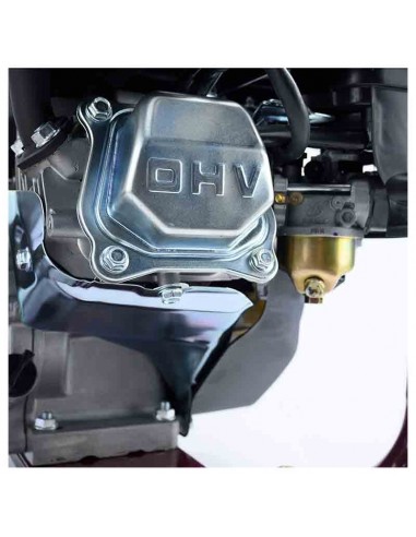 ΨΕΚΑΣΤΙΚΟ ΒΕΝΖΙΝΗΣ 6,5HP