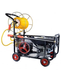 ΨΕΚΑΣΤΙΚΟ ΣΥΚΓΚΡΟΤΗΜΑ ΒΕΝΖΙΝΗΣ