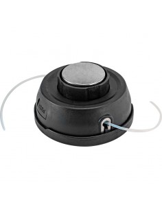 ΚΕΦΑΛΗ ΜΕΣΙΝΕΖΑΣ... 2