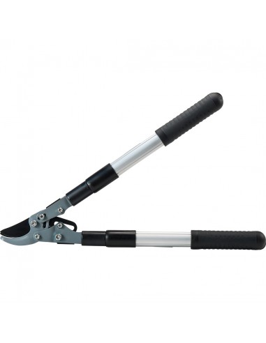 ΨΑΛΙΔΙ ΚΛΑΔΟΥ ΜΕ ΛΑΒΗ ΤΗΛΕΣΚΟΠΙΚΗ... ΨΑΛΙΔΙ ΚΛΑΔΟΥ ΜΕ ΛΑΒΗ ΤΗΛΕΣΚΟΠΙΚΗ...