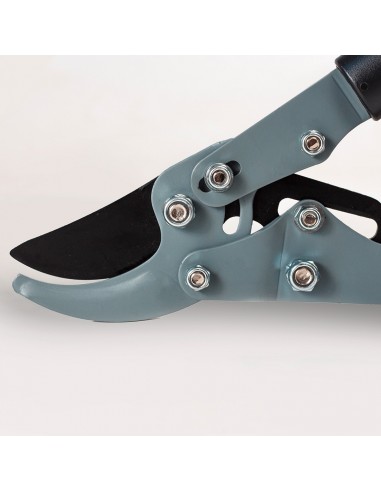 ΨΑΛΙΔΙ ΚΛΑΔΟΥ ΜΕ ΛΑΒΗ ΤΗΛΕΣΚΟΠΙΚΗ... ΨΑΛΙΔΙ ΚΛΑΔΟΥ ΜΕ ΛΑΒΗ ΤΗΛΕΣΚΟΠΙΚΗ...