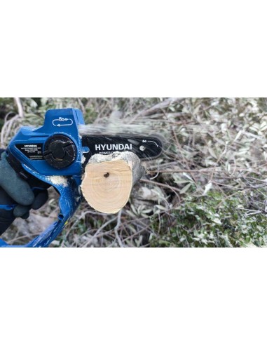 Κλαδευτικό αλυσοπρίονο μπαταρίας... Κλαδευτικό αλυσοπρίονο μπαταρίας...