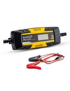 ΦΟΡΤΙΣΤΗΣ-ΣΥΝΤΗΡΗΤΗΣ 6/12V...