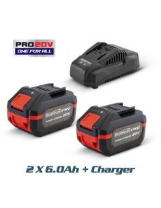 ΜΠΑΤΑΡΙΕΣ ΣΕΤ 2 Χ 6.0Ah...