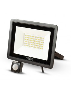 ΠΡΟΒΟΛΕΑΣ LED 100W ΜΕ...