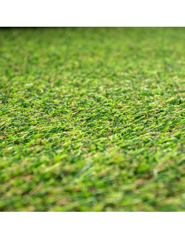 ΣΥΝΘΕΤΙΚΟΣ ΧΛΟΟΤΑΠΗΤΑΣ 1x25m ΚΑΙ...