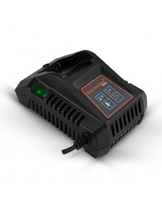 ΦΟΡΤΙΣΤΗΣ 20V, Li-Ion-4A PRO