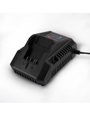 ΦΟΡΤΙΣΤΗΣ 20V, Li-Ion-4A PRO