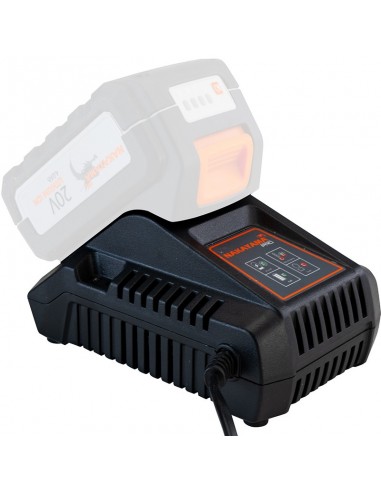 ΦΟΡΤΙΣΤΗΣ 20V, Li-Ion-4A PRO