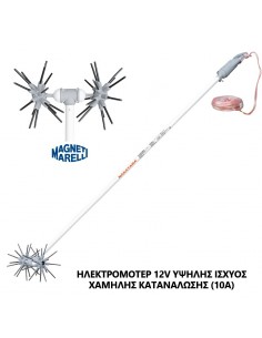 ΕΛΑΙΟΡΑΒΔΙΣΤΙΚΟ...