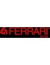 FERARI GROUP