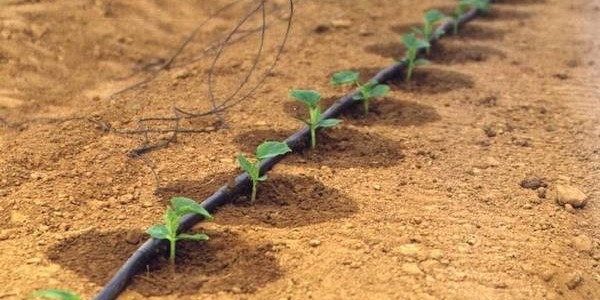 Πως γίνεται ο υπολογισμός για εφαρμογή αζώτου ( N ), φωσφόρου ( P ) και καλίου ( Κ ) με υδρολίπανση ;